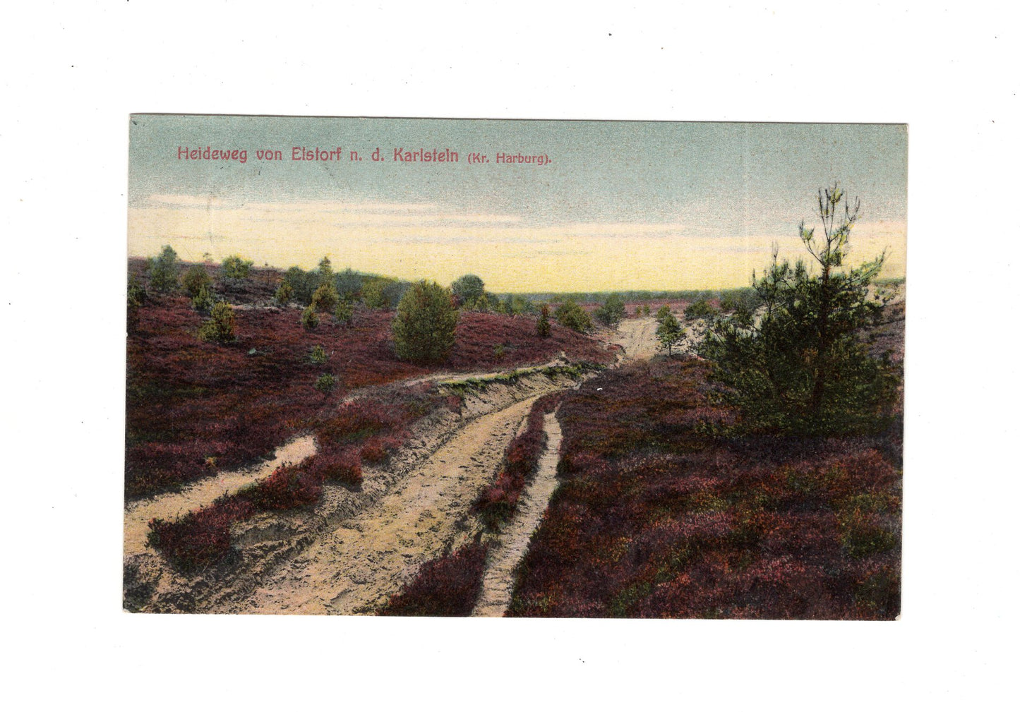 Ansichtskarte Heideweg von Elstorf n. d. Karlstein (Kreis Harburg) - 1910