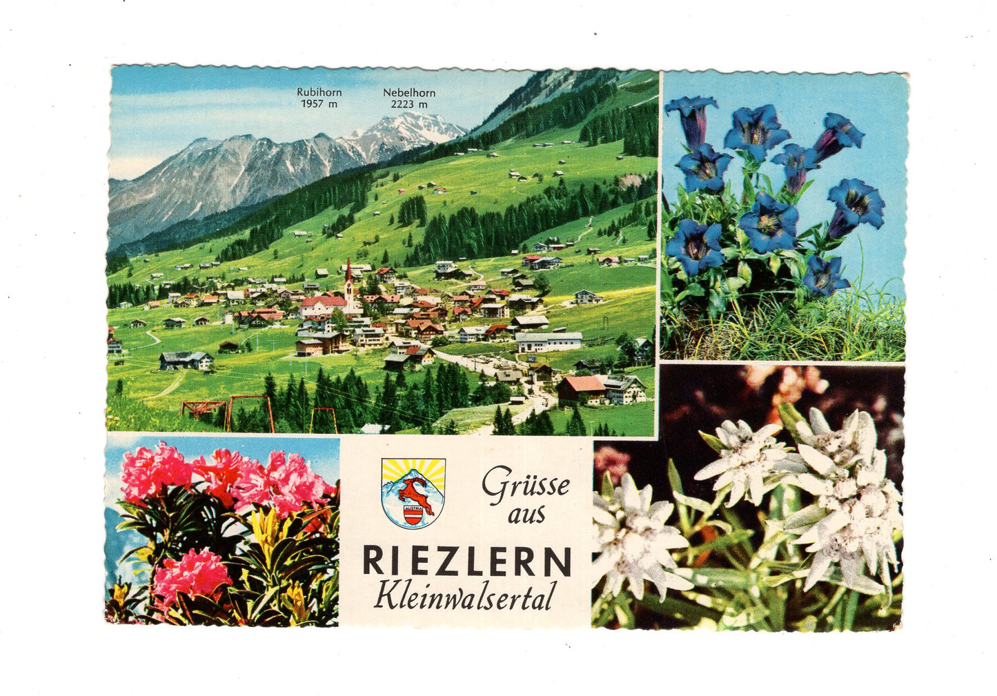 Ansichtskarte Kleinwalsertal / Riezlern / Österreich