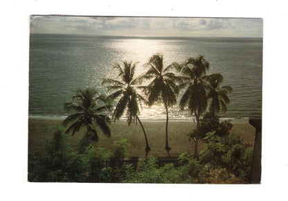 Ansichtskarte Caribbean Sea / Jamaica