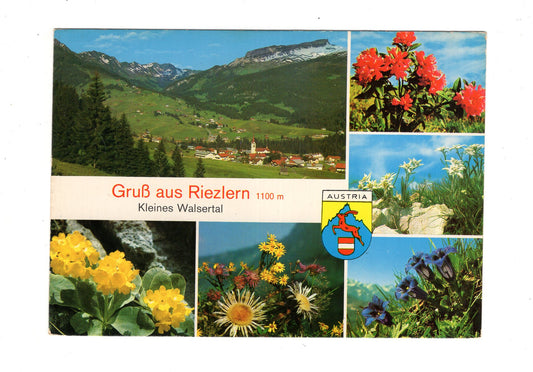 Ansichtskarte Kleinwalsertal / Riezlern / Österreich