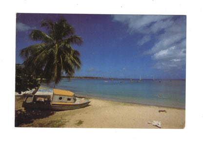 Ansichtskarte Mt. Irvine Bay / Tobago / Trinidad & Tobago