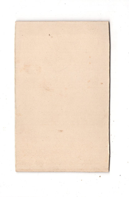 Fotografie Damenportrait - unbekannter Ort 1890er / CDV N1-16