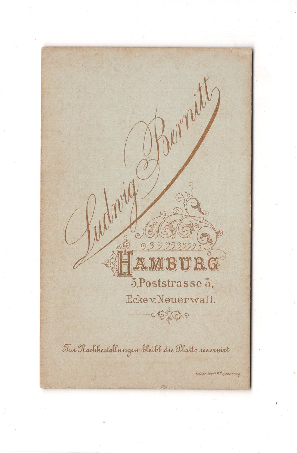 Fotografie Damenportrait - Hamburg 1880er / CDV C1-06