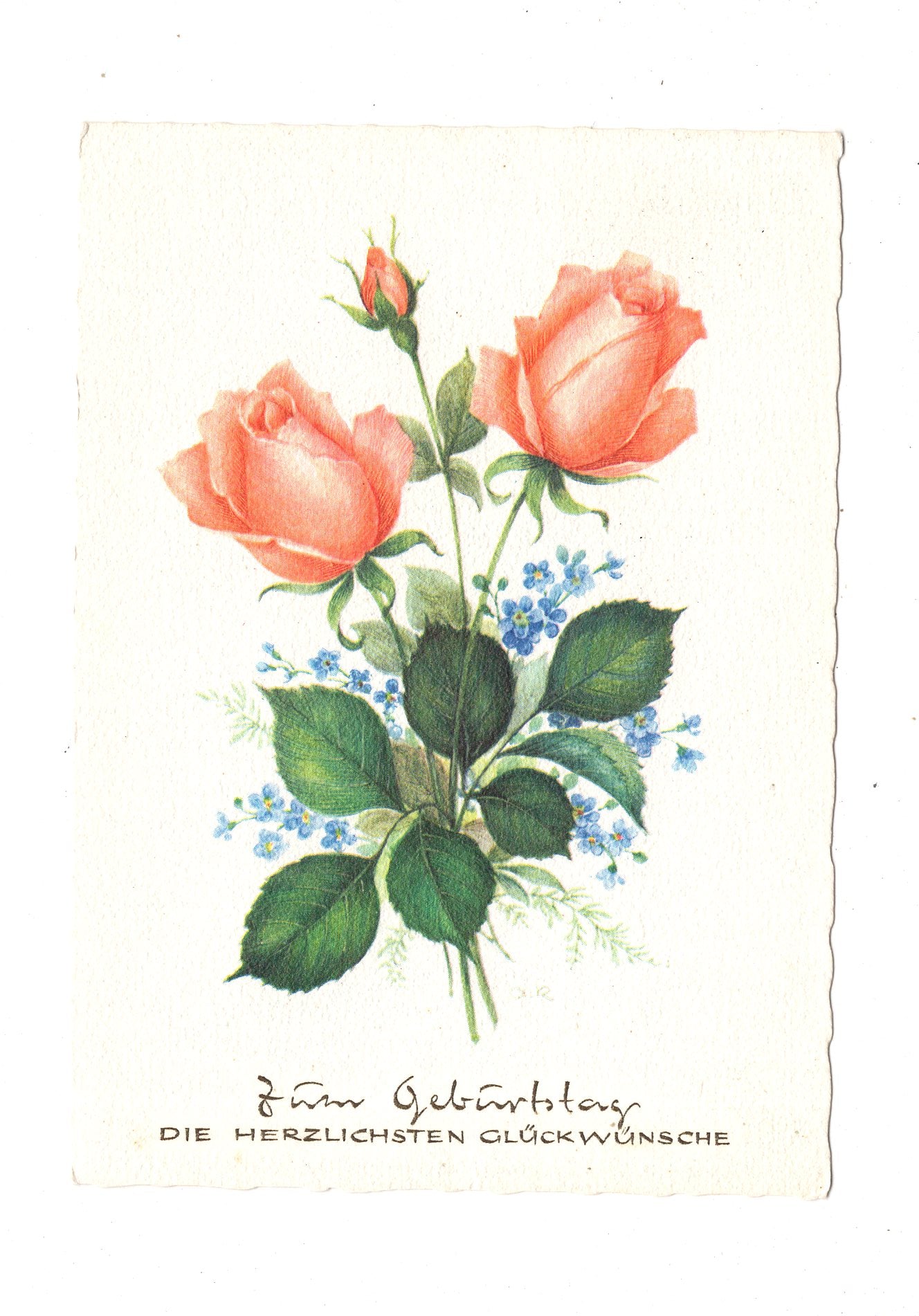 Ansichtskarte Glückwünsche / Glückwunsch zum Geburtstag / L1-59