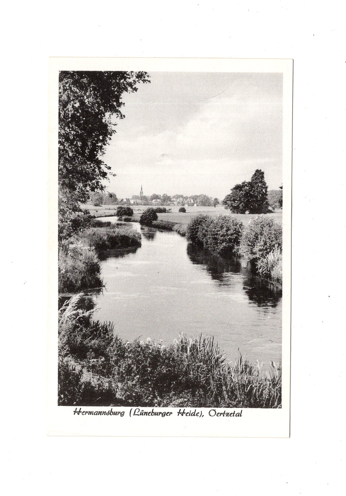 Ansichtskarte Hermannsburg / Lüneburger Heide / Oertzetal