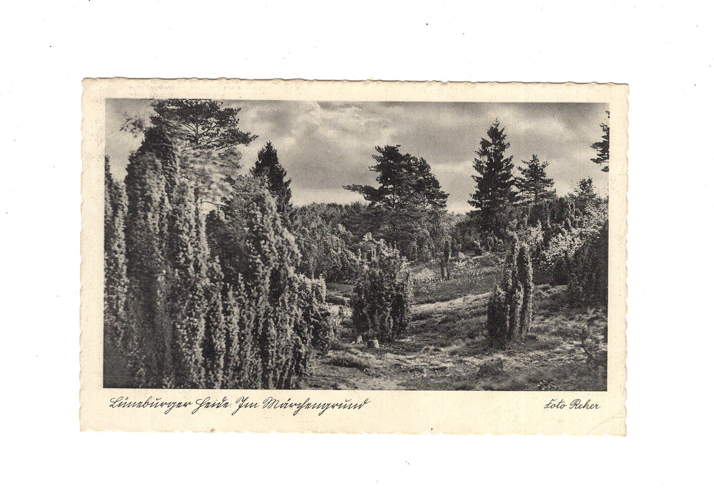 Ansichtskarte Lüneburger Heide / Im Märchengrund - 1937