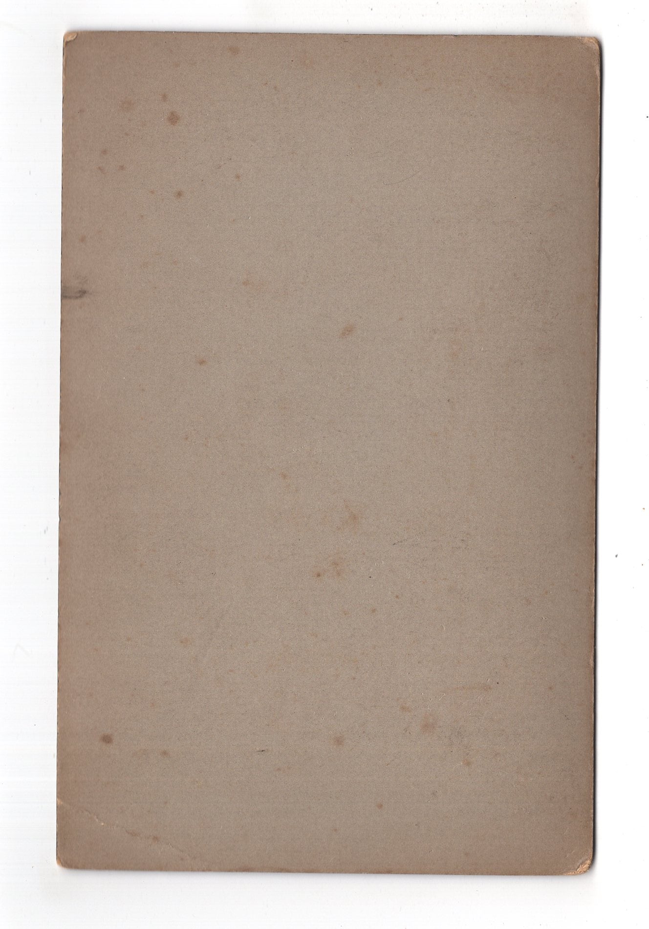 Fotografie Feine Dame - Elberfeld um 1910