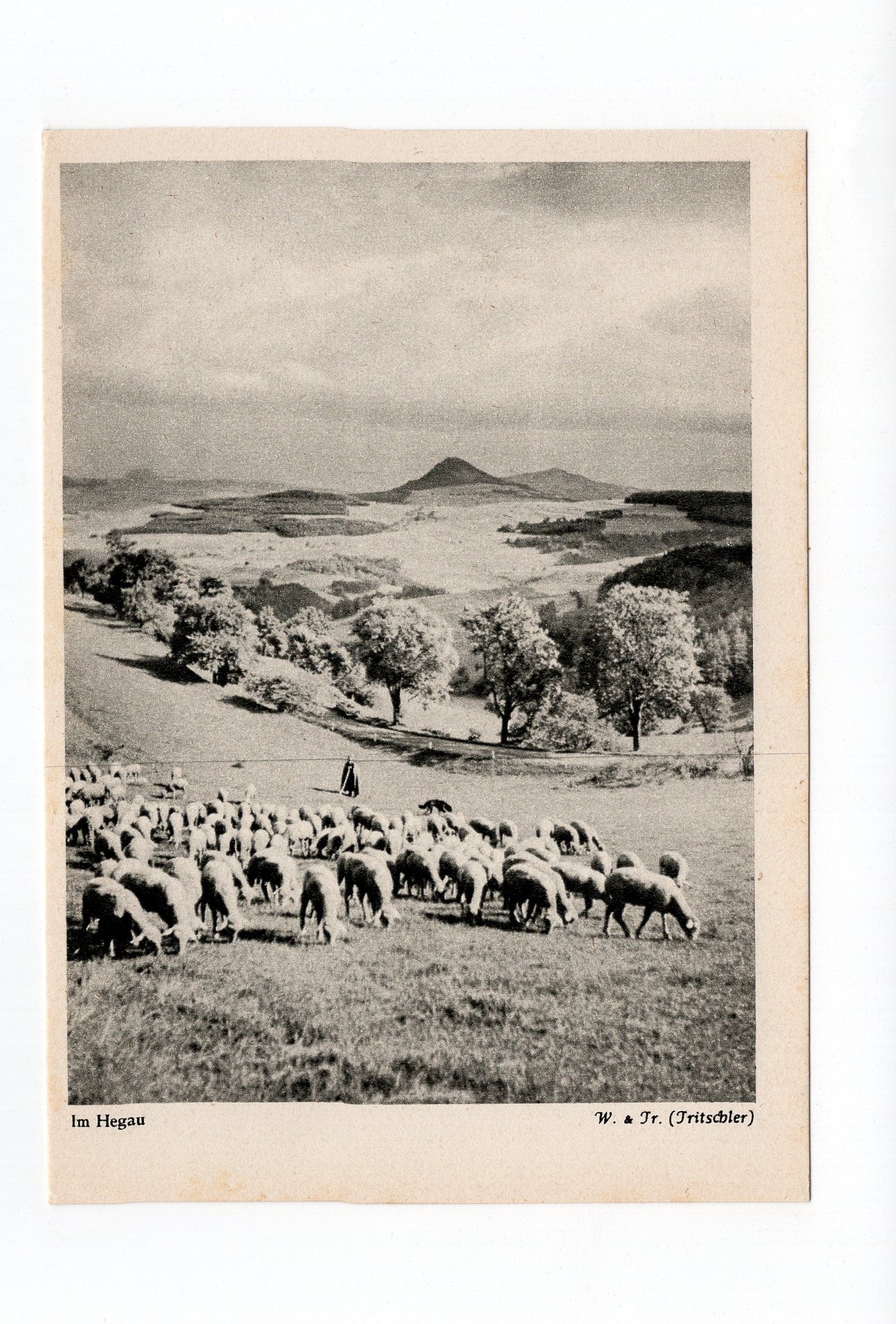 Ansichtskarte Im Hegau