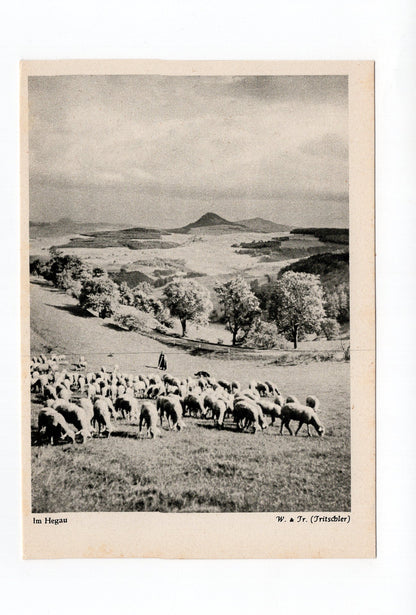 Ansichtskarte Im Hegau