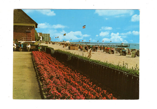 Ansichtskarte Nordseeheilbad Wyk auf Föhr / Blumengrotte / L1-68