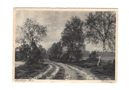 Ansichtskarte Lüneburger Heide / Birkenweg - 1931