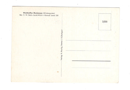 Ansichtskarte Waldkaffee Muckensee / Lorch / Württemberg