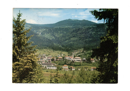 Ansichtskarte Bodenmais / Bayerischer Wald / mit Arber