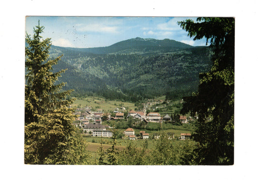 Ansichtskarte Bodenmais / Bayerischer Wald / mit Arber