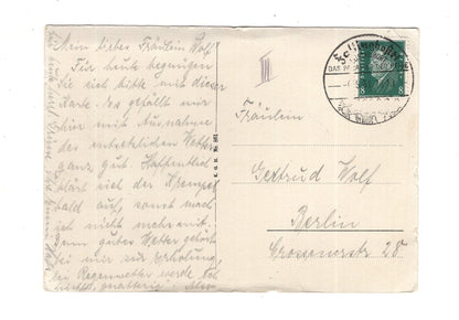 Ansichtskarte Lüneburger Heide / Birkenweg - 1931