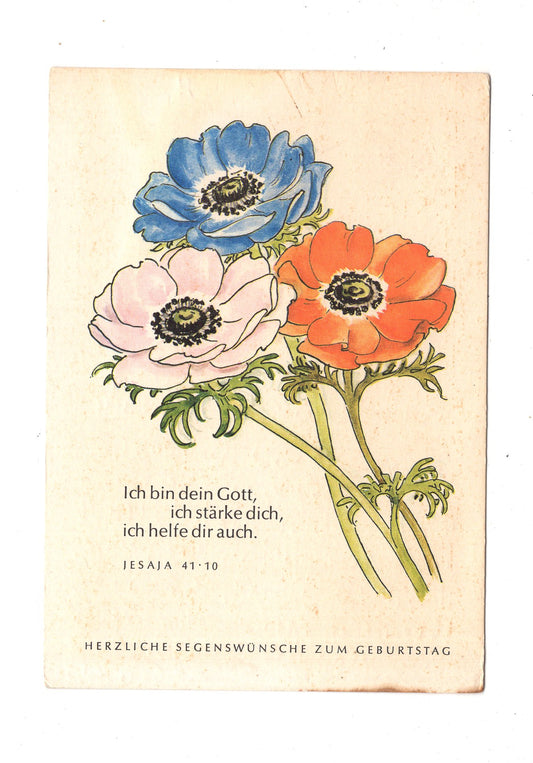 Ansichtskarte Glückwünsche / Glückwunsch zum Geburtstag / L1-59