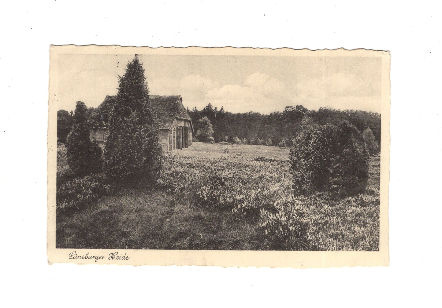 Ansichtskarte Lüneburger Heide - 1937