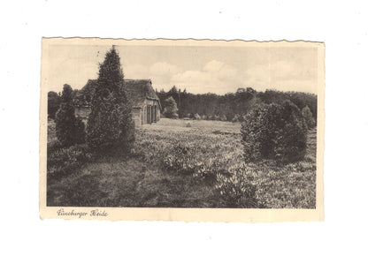 Ansichtskarte Lüneburger Heide - 1937