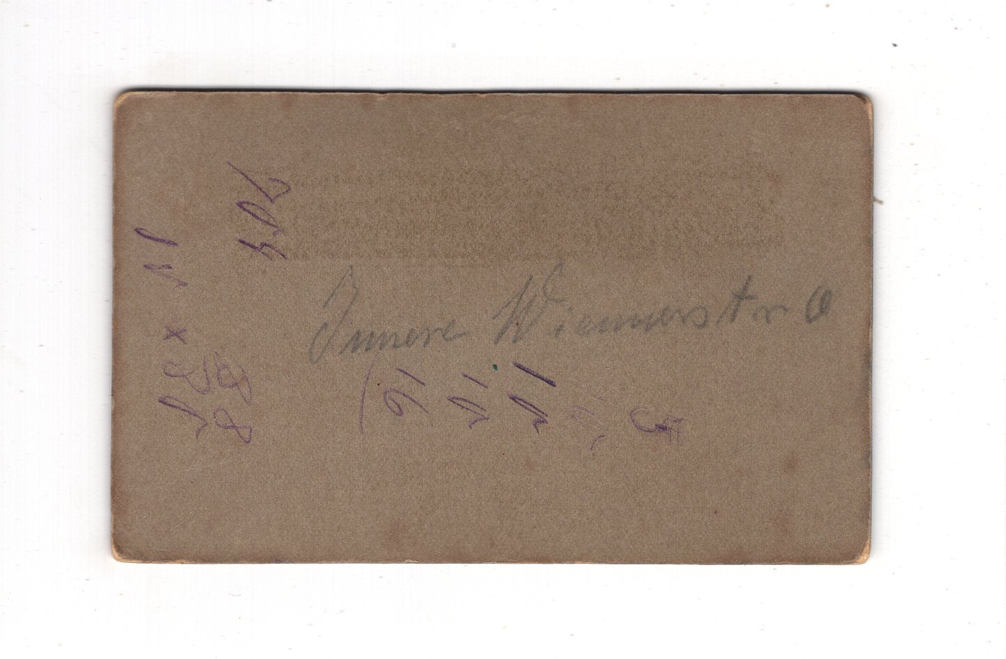 Fotografie Niedliches kleines Mädchen im Garten - München 1910er / CDV M1-29