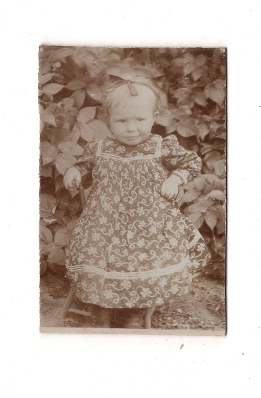 Fotografie Niedliches kleines Mädchen im Garten - unbekannter Ort 1900er / CDV M1-29