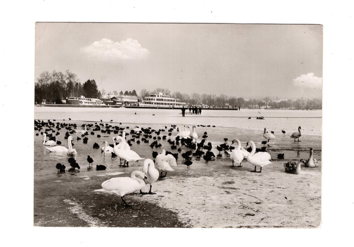 Ansichtskarte Starnberger See im Winter