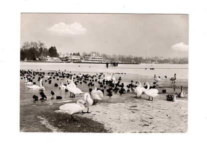 Ansichtskarte Starnberger See im Winter
