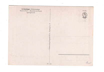 Ansichtskarte Glückwünsche / Glückwunsch zum Geburtstag / L1-59