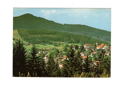 Ansichtskarte Bodenmais / Bayerischer Wald