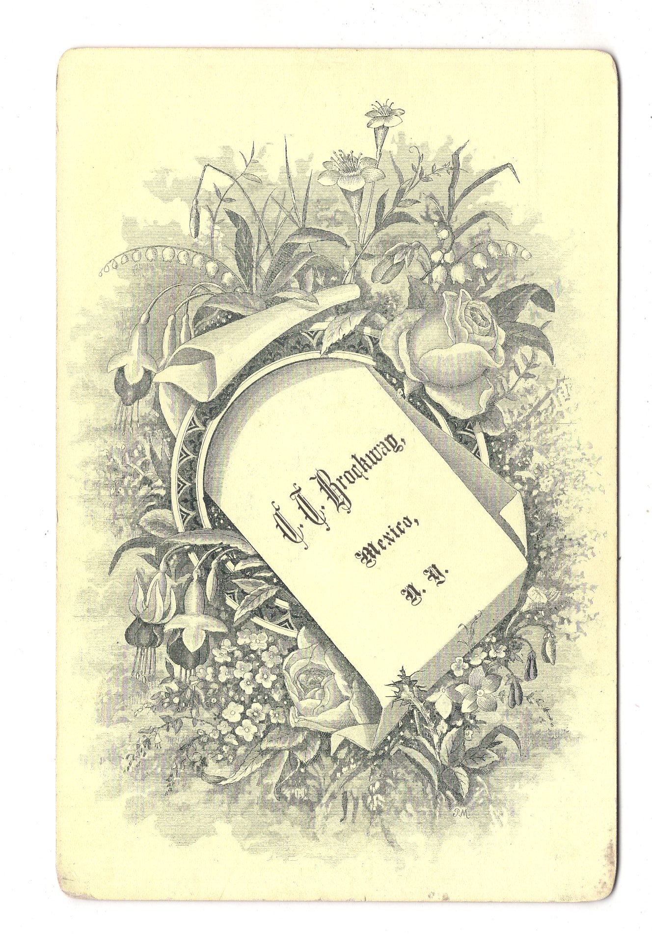 Fotografie Feine Dame - Mexico / New York 1870er / CAB W-29