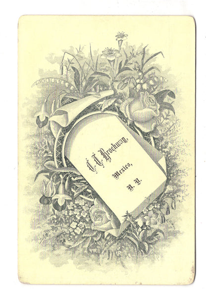 Fotografie Feine Dame - Mexico / New York 1870er / CAB W-29