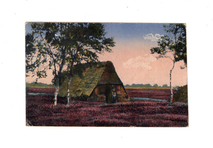 Ansichtskarte Lüneburger Heide / Aus der Heide - 1914