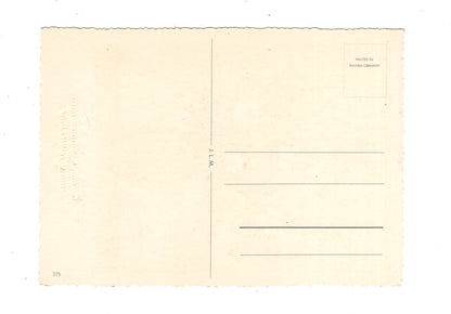 Ansichtskarte Glückwünsche / Glückwunsch zum Geburtstag / L1-59