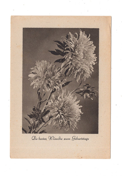 Ansichtskarte Glückwünsche / Glückwunsch zum Geburtstag / L1-59