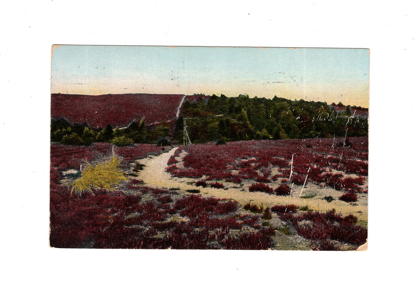 Ansichtskarte Lüneburger Heide / Weg nach der Höllenschlucht - 1912