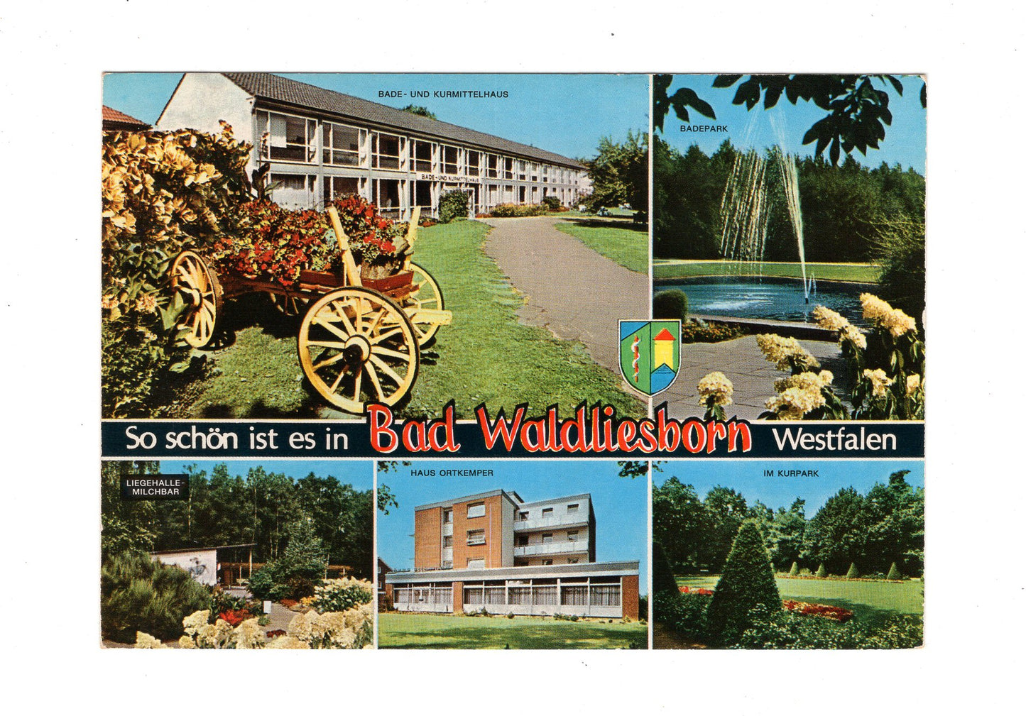 Ansichtskarte Bad Waldliesborn / Westfalen