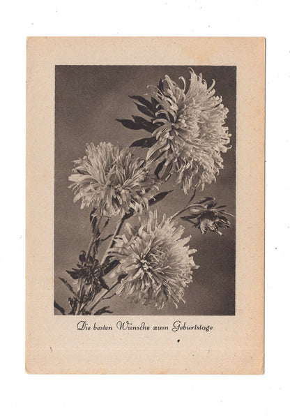 Ansichtskarte Glückwünsche / Glückwunsch zum Geburtstag / L1-60