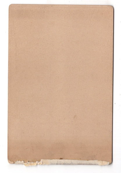 Fotografie Feine Dame - Fulda 1890er