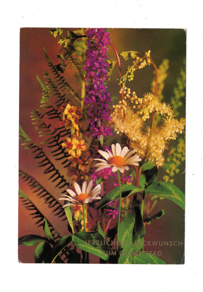 Ansichtskarte Glückwünsche / Glückwunsch zum Geburtstag / L1-60