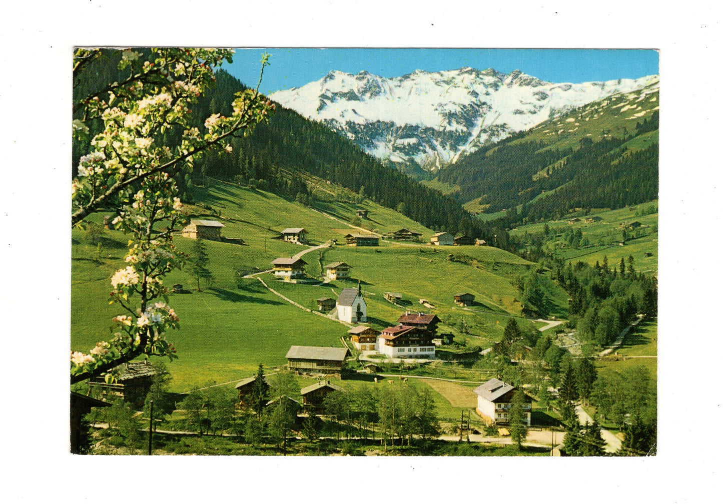 Ansichtskarte Inneralpbach / Tirol / Österreich