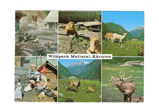 Ansichtskarte Wildpark Maltatal / Kärnten / Österreich / N1-67