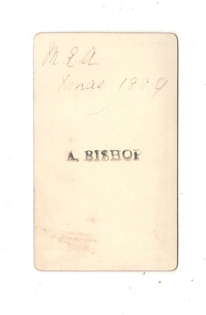 Fotografie Feine Dame - unbekannter Ort um 1890