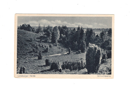 Ansichtskarte Lüneburger Heide / Schluchtpartie