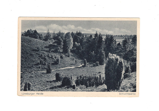 Ansichtskarte Lüneburger Heide / Schluchtpartie