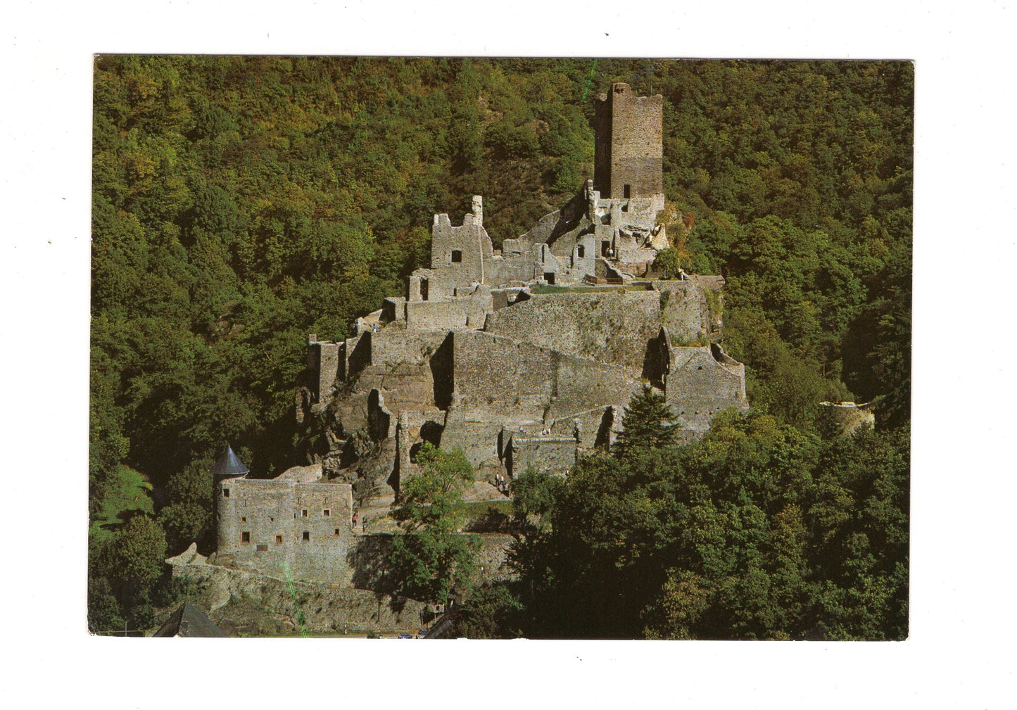 Ansichtskarte Manderscheid / Vulkaneifel / Die Niederburg / I1-54