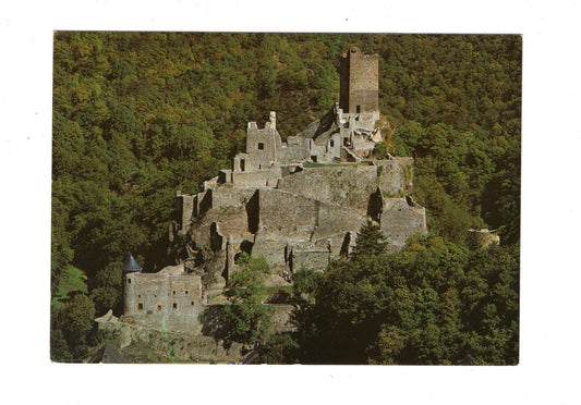 Ansichtskarte Manderscheid / Vulkaneifel / Die Niederburg / I1-54