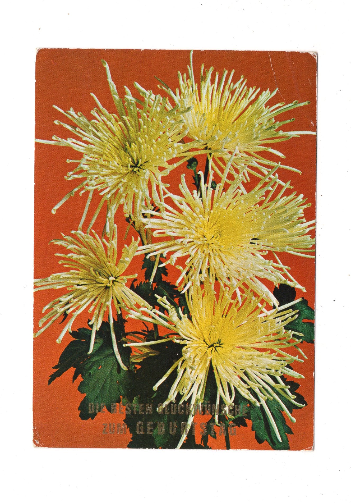 Ansichtskarte Glückwünsche / Glückwunsch zum Geburtstag / L1-60