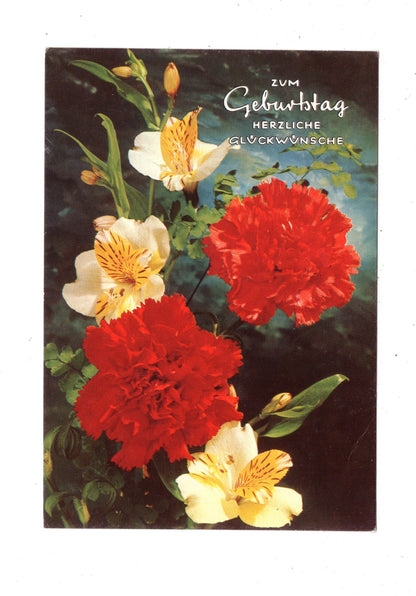 Ansichtskarte Glückwünsche / Glückwunsch zum Geburtstag / L1-60