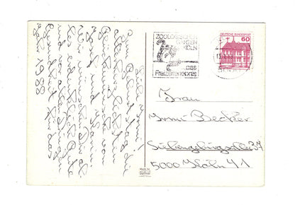 Ansichtskarte Glückwünsche / Glückwunsch zum Geburtstag / L1-60