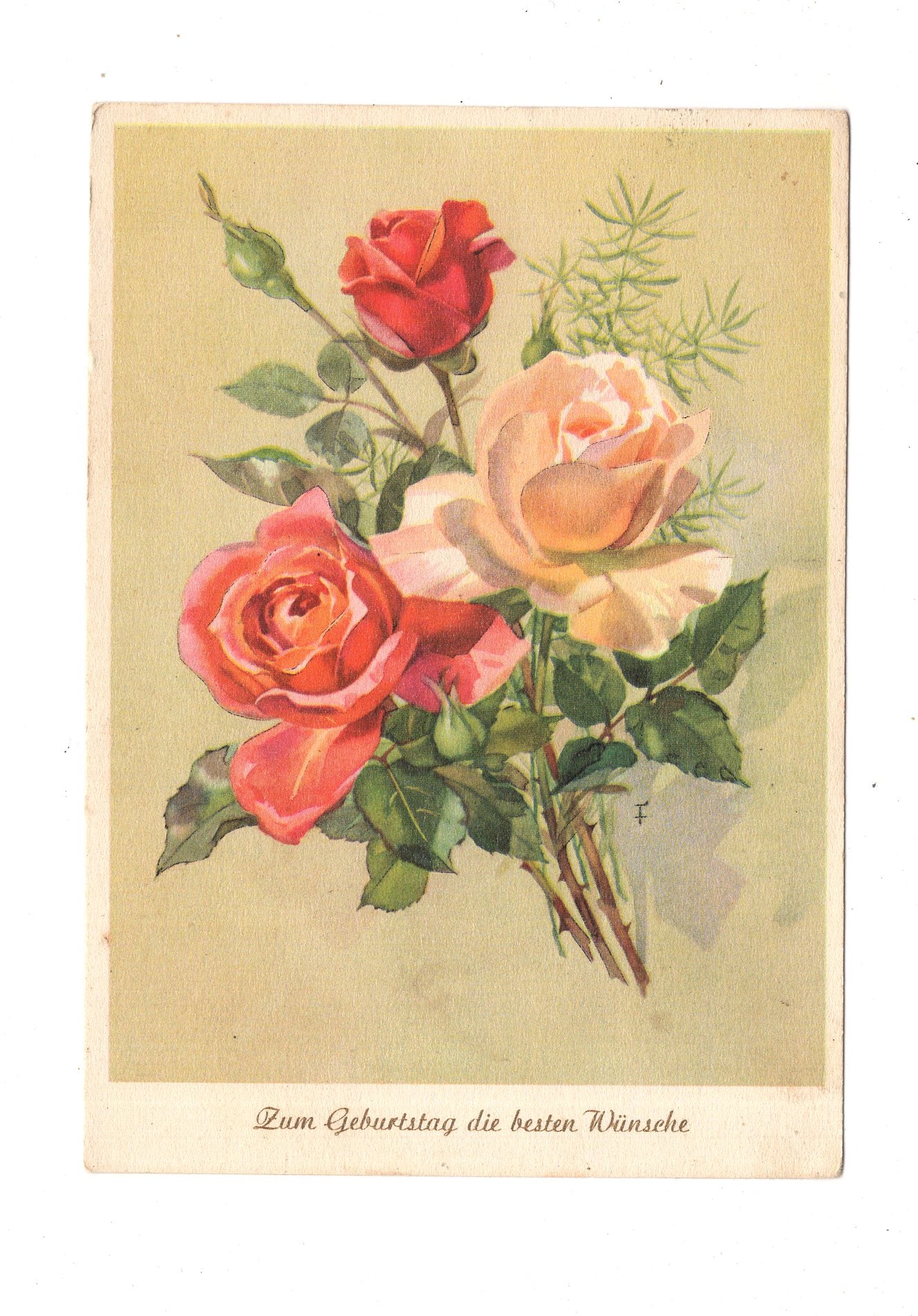 Ansichtskarte Glückwünsche / Glückwunsch zum Geburtstag / L1-60