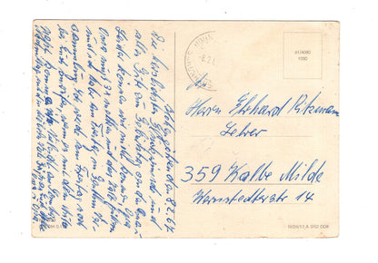 Ansichtskarte Glückwünsche / Glückwunsch zum Geburtstag / L1-60